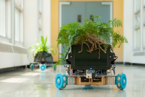 The IndaPlant Project: An Act Of Trans-Species Giving—originally beginning as a collaboration between the artist Elizabeth Demaray and the engineer Dr. Qingze Zou—is designed to facilitate the free movement and metabolic function of ordinary houseplants.